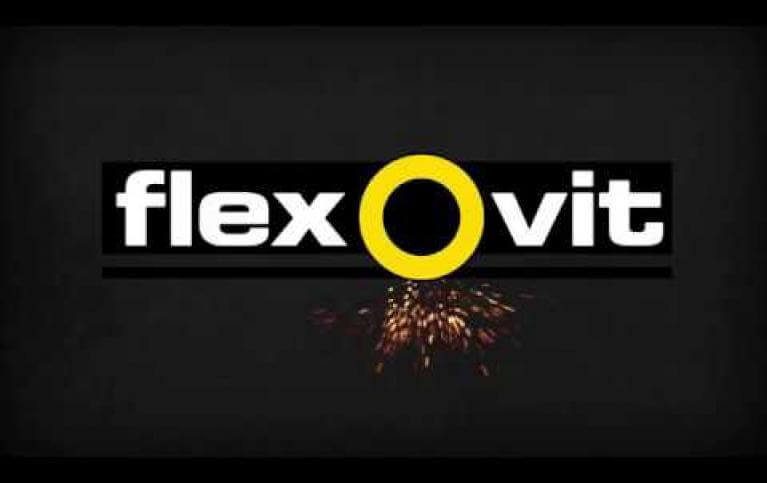 Logo Flexovit